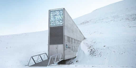 Une bibliothèque de la fin du monde