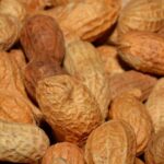Allergie à l'arachide : vers la mise au point d'un patch ?