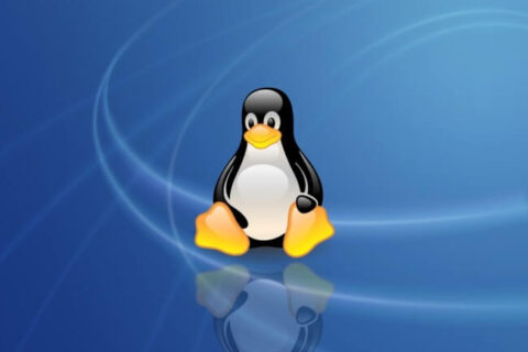 Linux