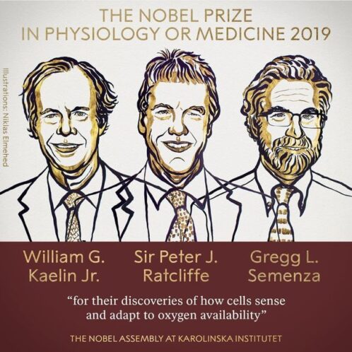 Nobel Prize Winners 2019