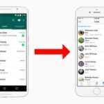 Transférer ses données WhatsApp d’Android vers iOS